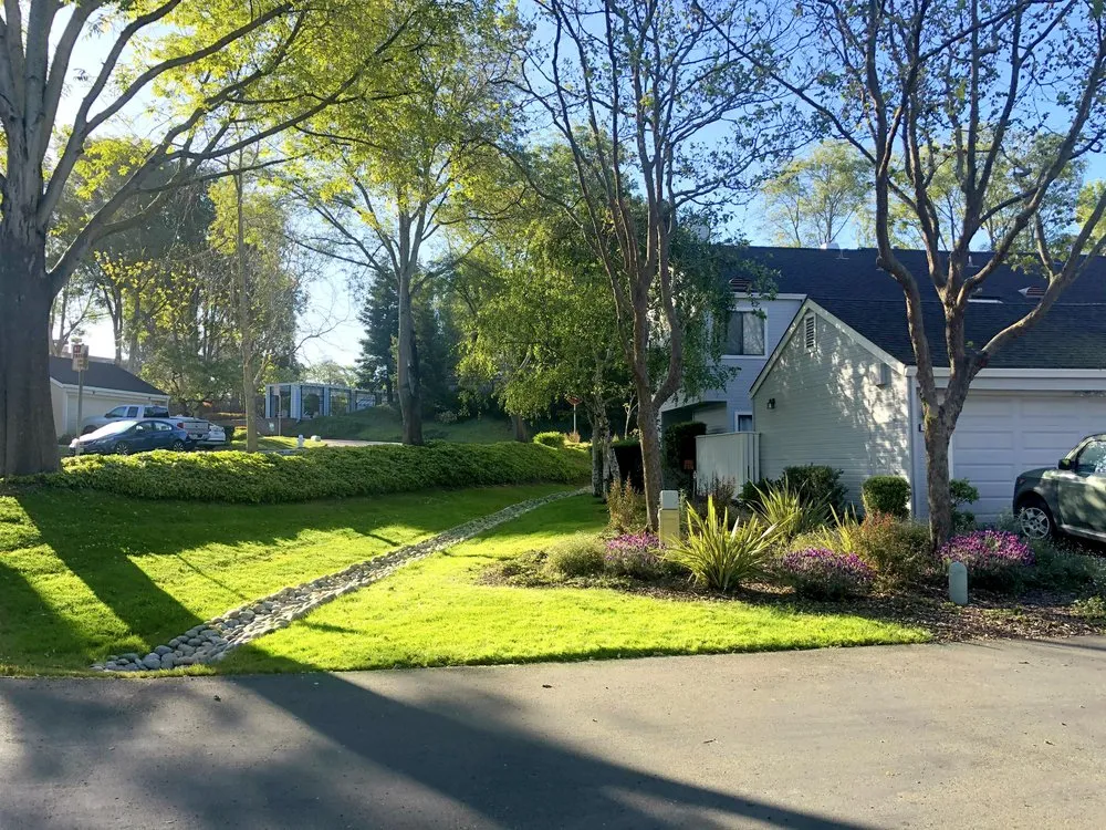 Local landscape installation for homes in Richmond, CA by Enviro Views