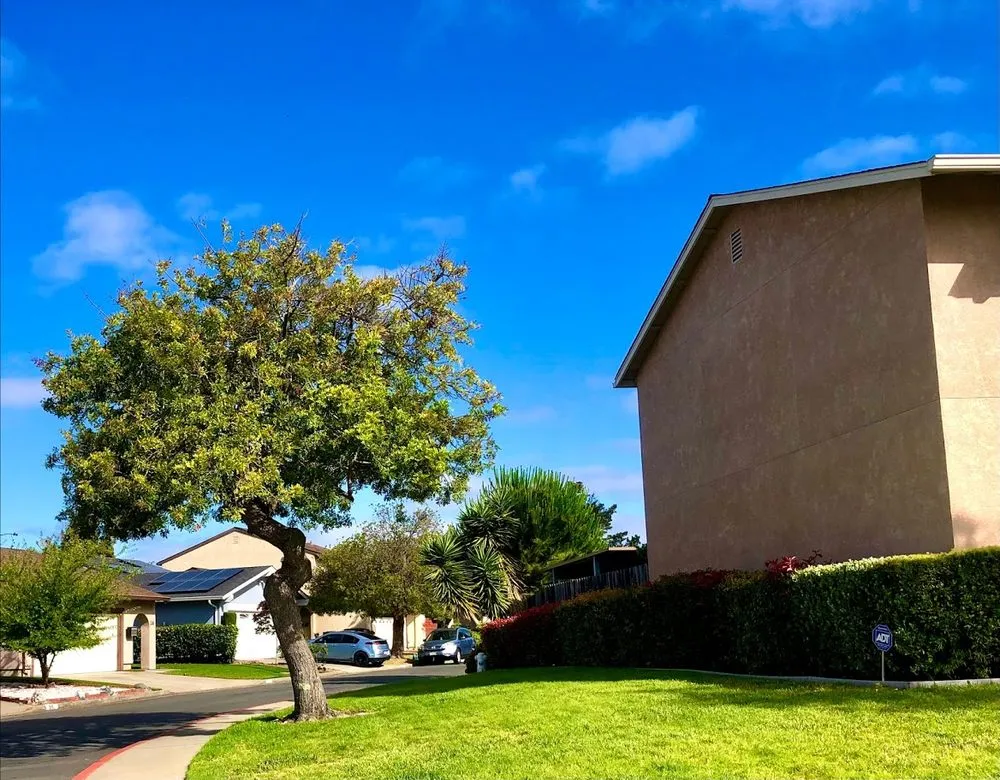 Local yard maintenance experts serving Richmond, CA - Enviro Views