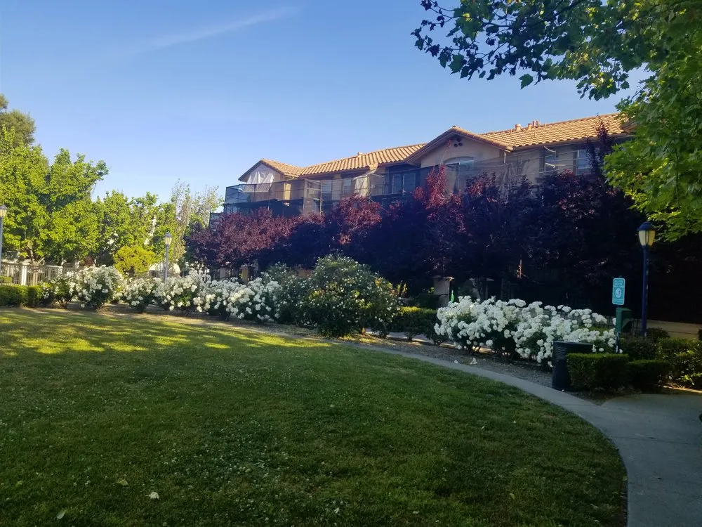 Expert garden landscaping experts serving Richmond, CA - Enviro Views