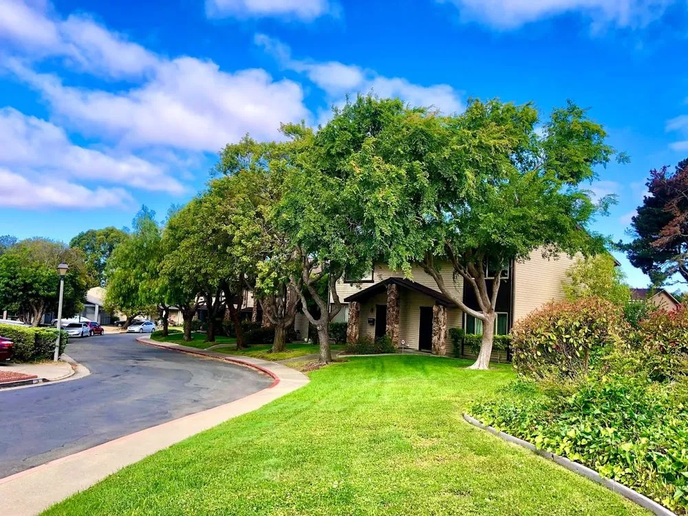 Professional landscaping services in Richmond, CA by Enviro Views