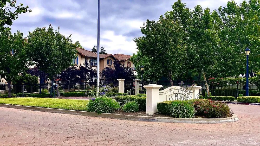 Professional landscaping services for residential properties in Richmond, CA by Enviro Views