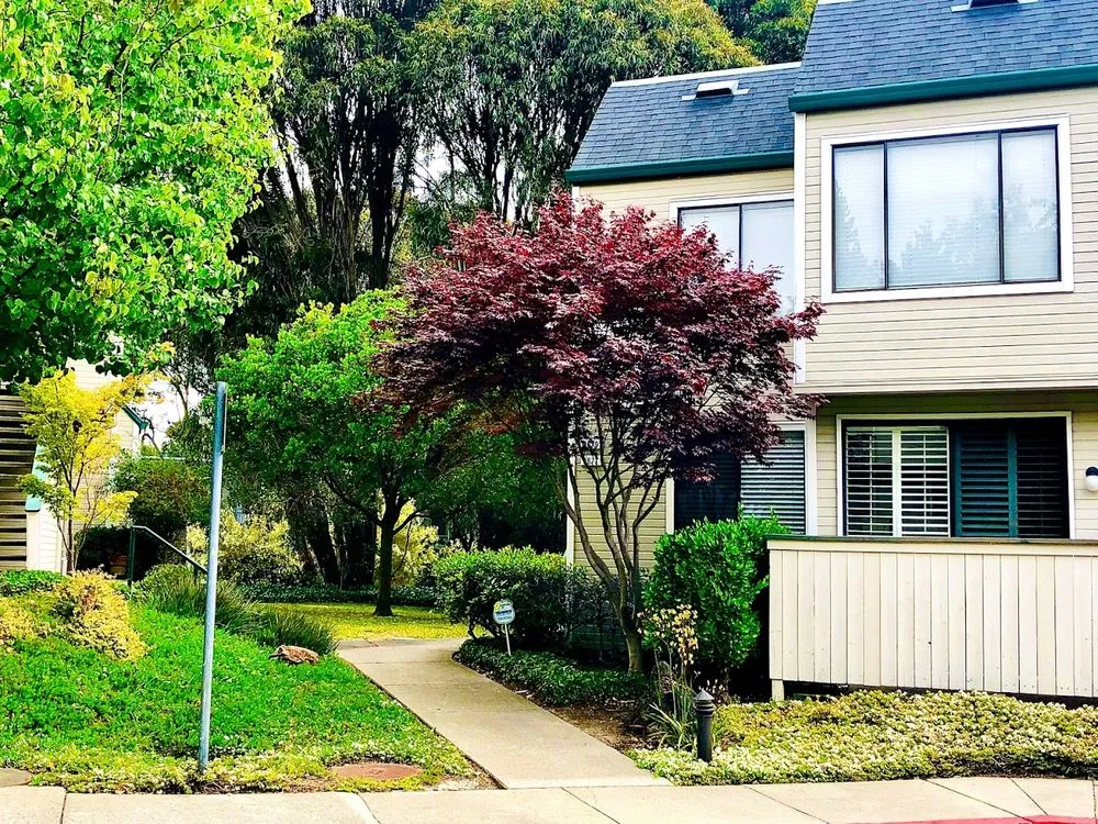 Professional yard maintenance for residential properties across Richmond, CA - Enviro Views