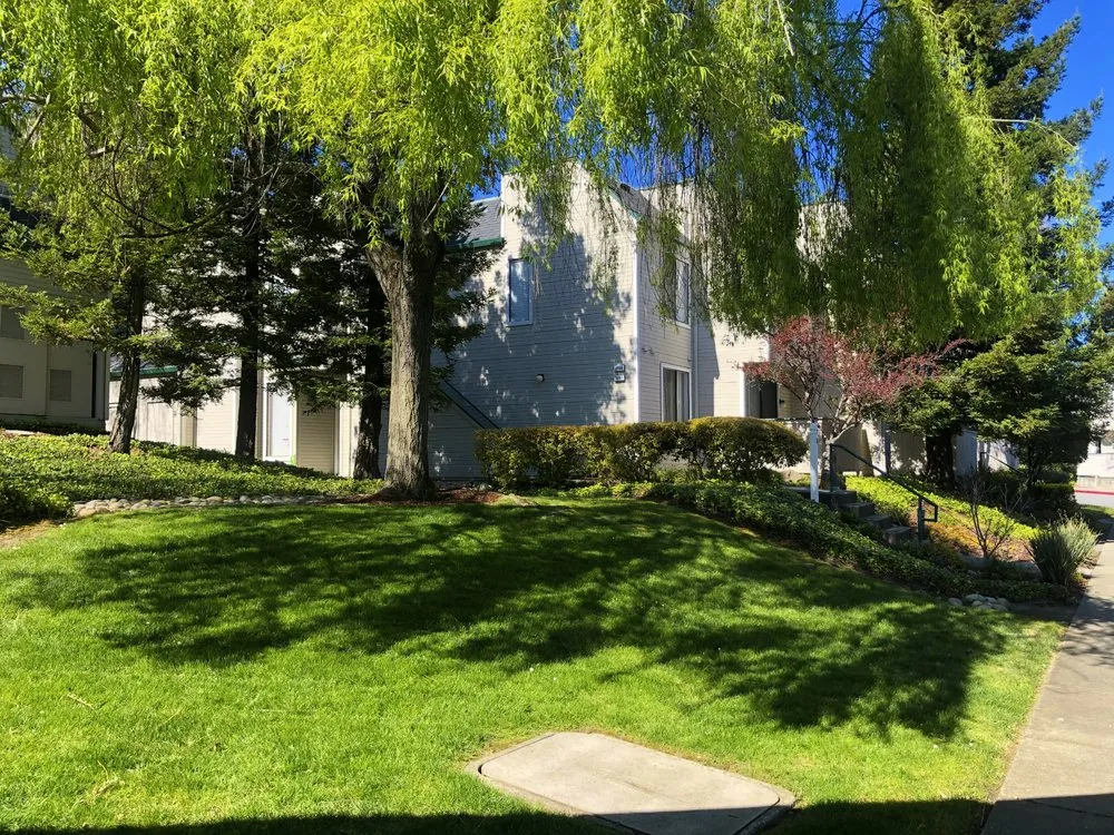 Custom lawn mowing service for homes across Richmond, CA - Enviro Views