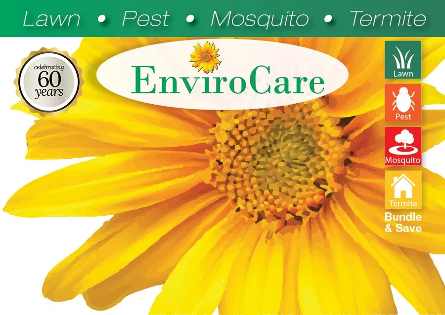 Affordable lawn mowing service with custom design in Alexander City, AL by Envirocare