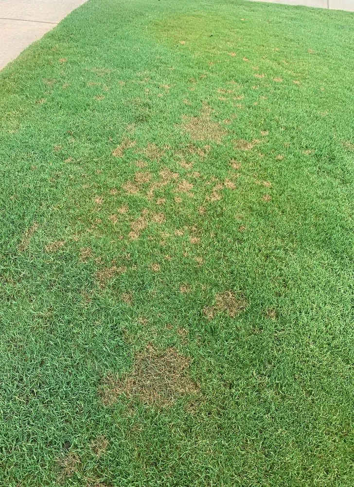 Reliable landscaping services for beautiful yards across Birmingham, AL - Envirocare