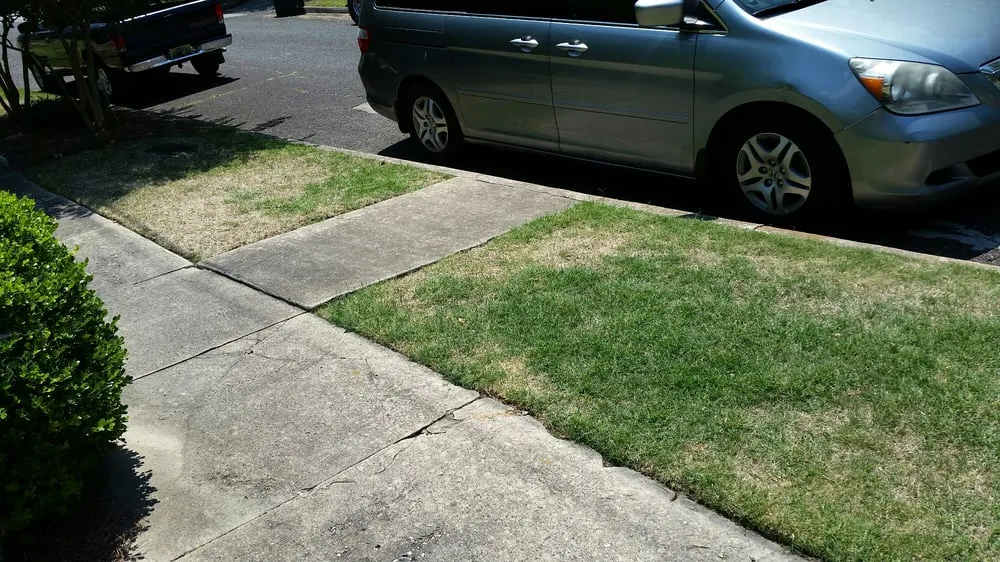 Local yard maintenance in Birmingham, AL - Envirocare