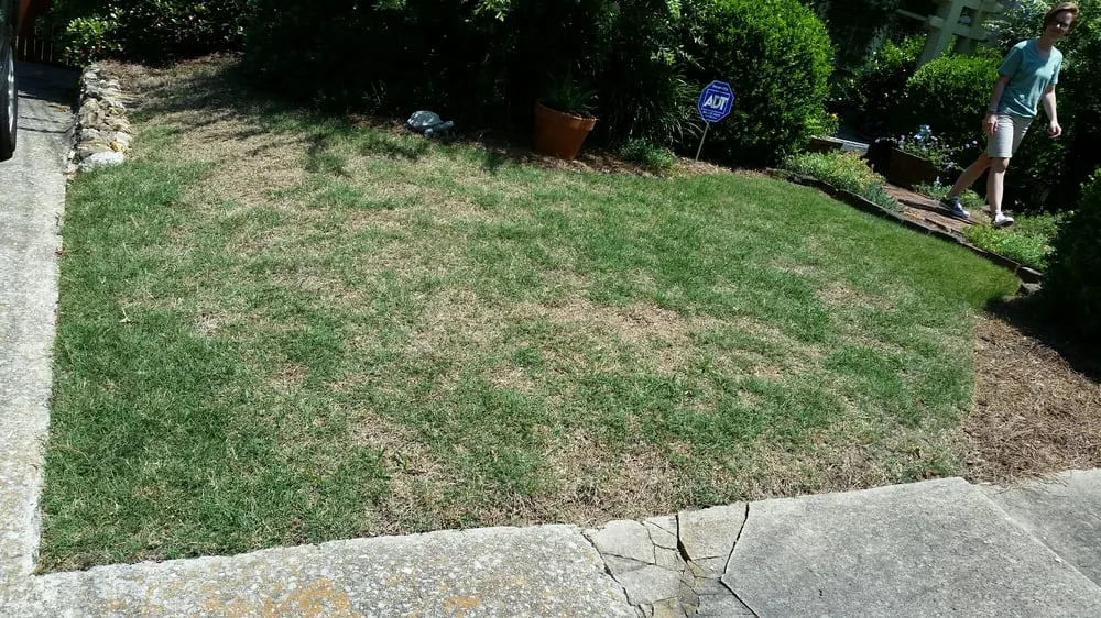 Reliable yard maintenance experts serving Birmingham, AL - Envirocare