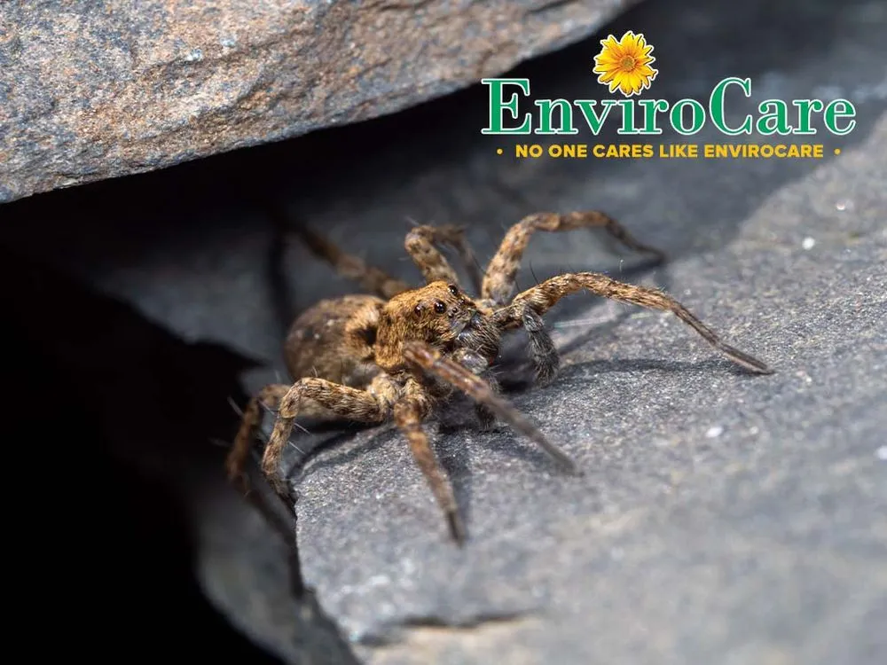 Professional garden landscaping for outdoor upgrades in Birmingham, AL by Envirocare