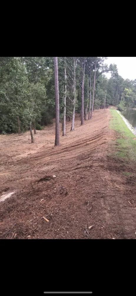 Local yard cleanup service experts serving Helena, AL - EnviroCare Mulching & Land Clearing