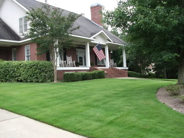 Trusted yard cleanup service in Auburn, AL by EnviroGreen