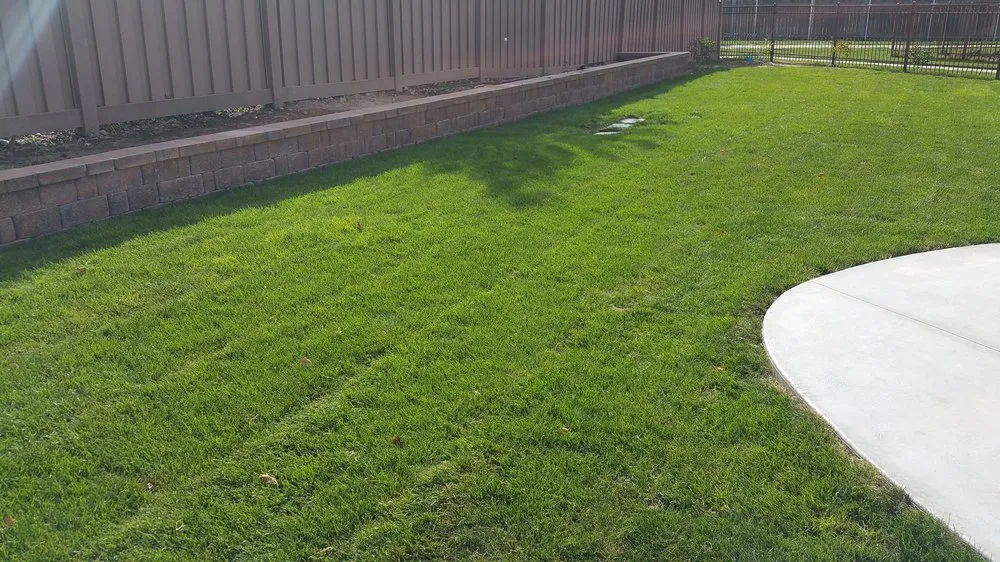 Top-rated yard maintenance near you in Meridian, ID by Envirogreen Landscapes