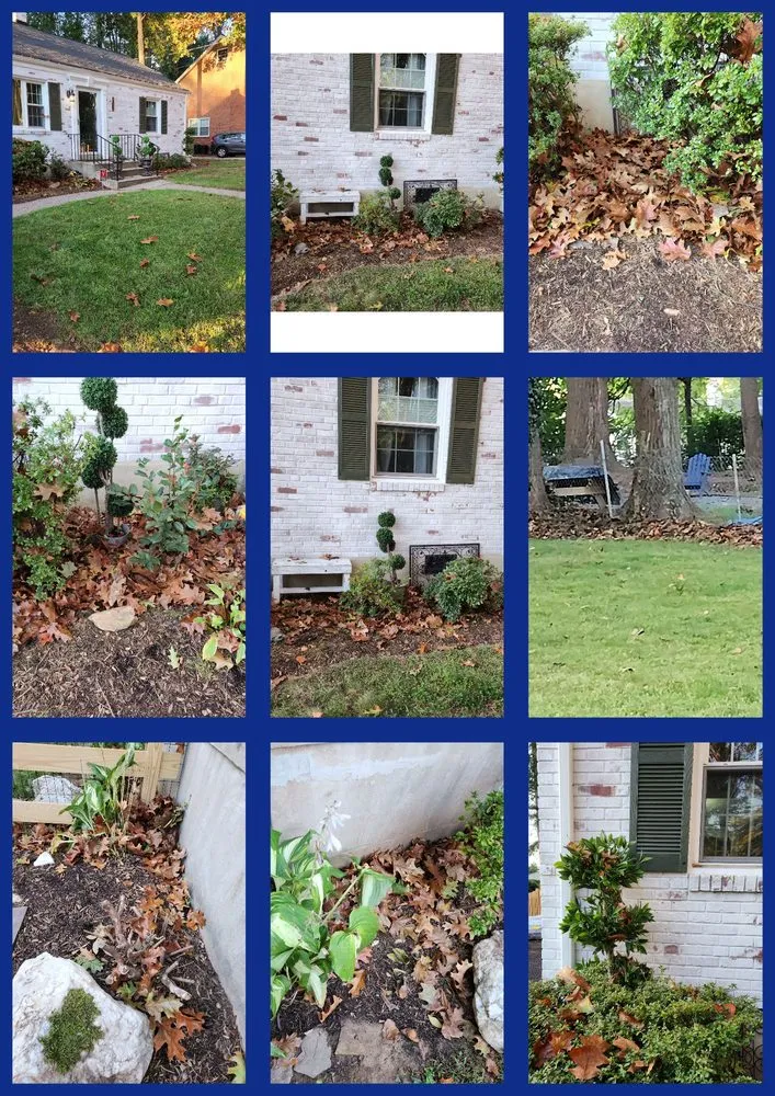 Expert landscaping services for beautiful yards in Chantilly, VA by Envirogrow