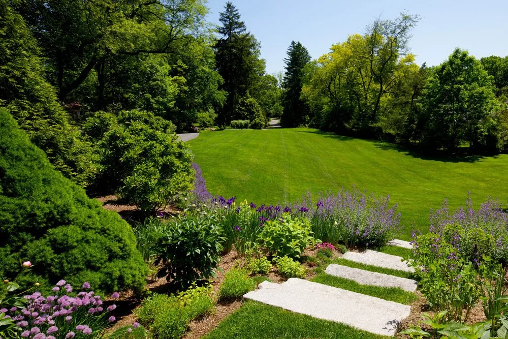 Reliable landscaping services in Chantilly, VA - Envirogrow