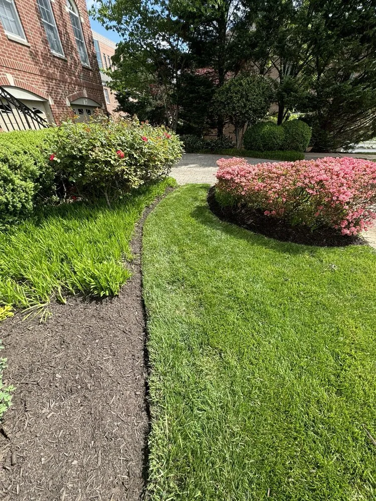 Top-rated yard maintenance for beautiful yards across Chantilly, VA - Envirogrow
