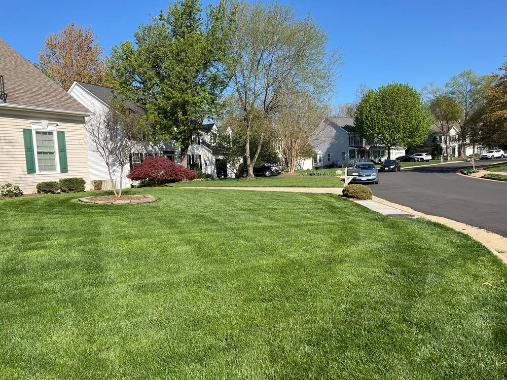 Local garden landscaping with custom design in Chantilly, VA by Envirogrow