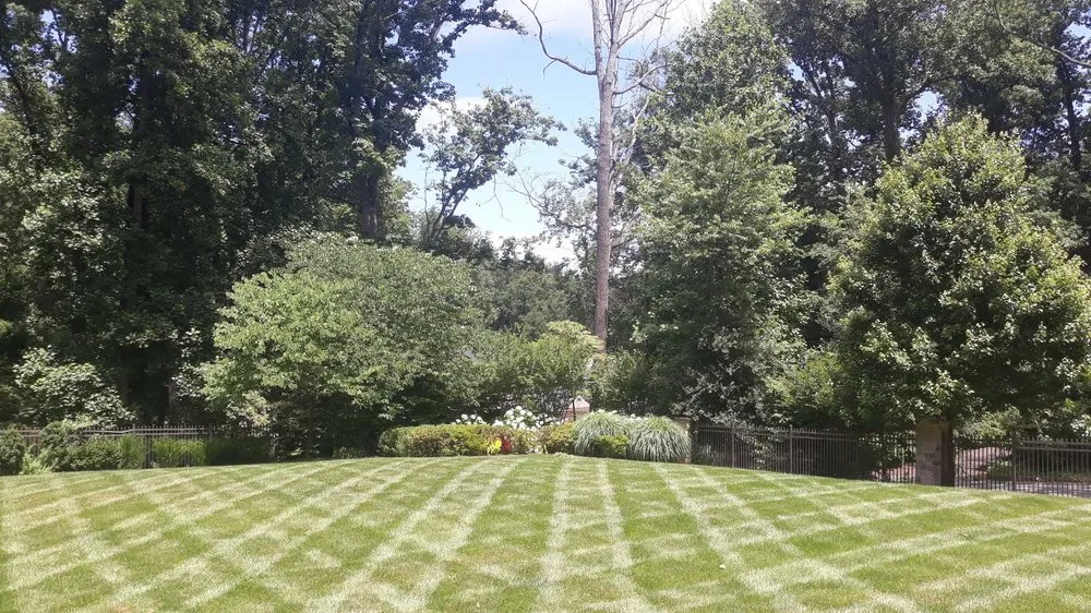 Affordable lawn mowing service experts serving Chantilly, VA - Envirogrow