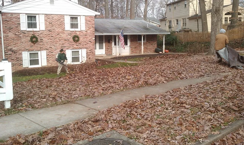 Expert landscape design in Chantilly, VA by Envirogrow