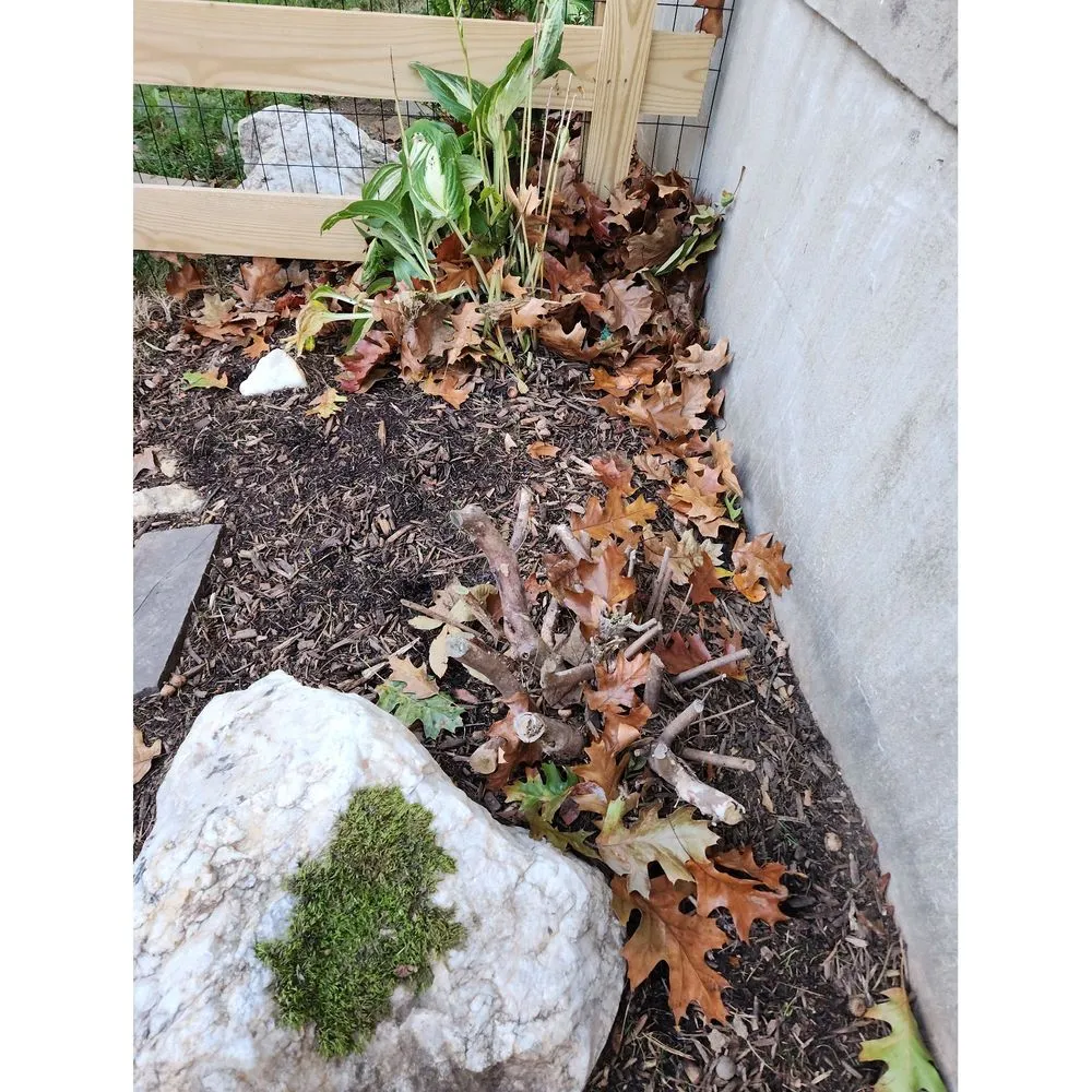 Local residential landscaping experts serving Chantilly, VA - Envirogrow