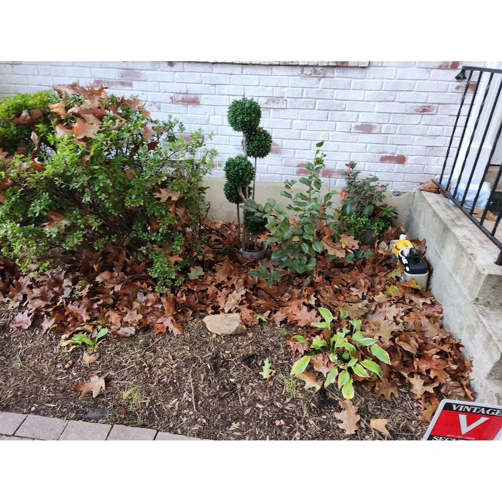 Professional garden landscaping in Chantilly, VA - Envirogrow