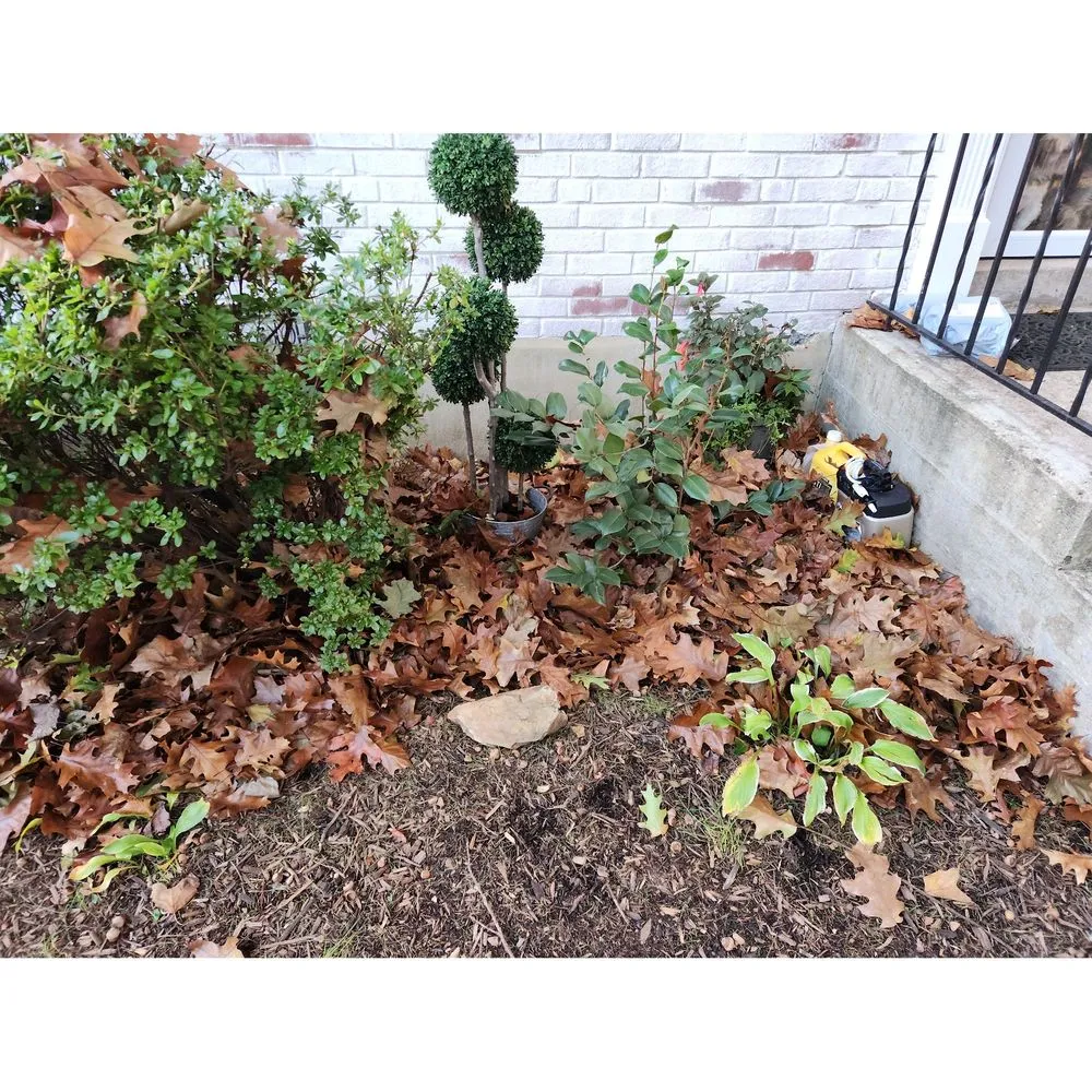 Affordable residential landscaping for residential properties across Chantilly, VA - Envirogrow