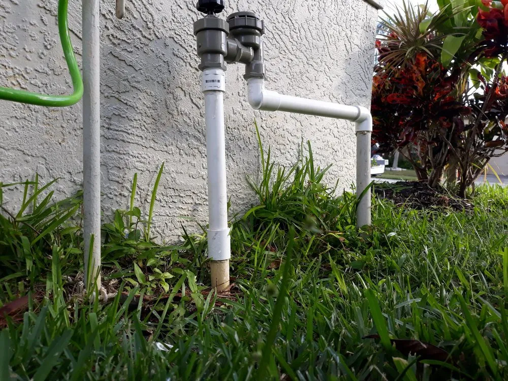 Local landscape design in Tampa, FL by Enviromo Irrigation and Sprinkler Repair