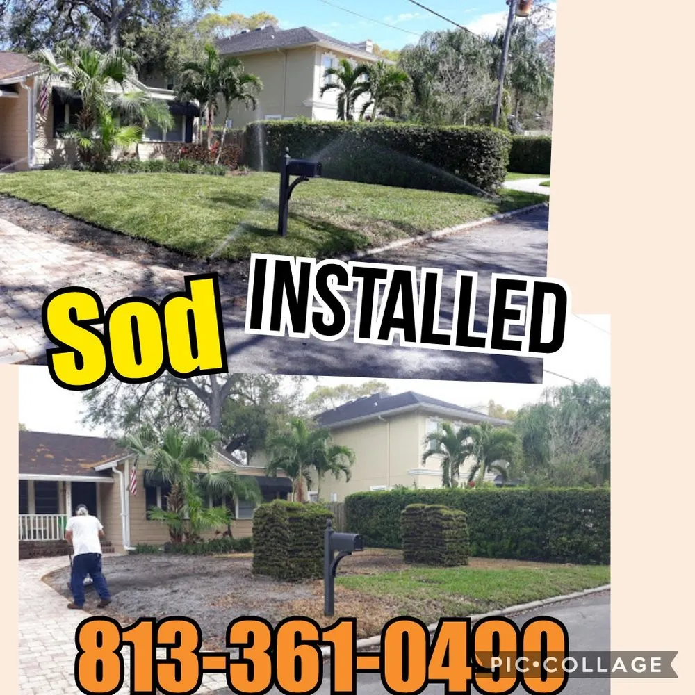 Professional garden landscaping in Tampa, FL by Enviromo Irrigation and Sprinkler Repair