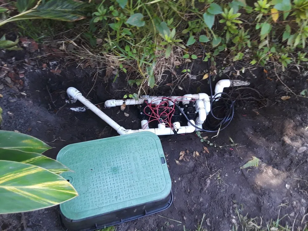 Reliable yard cleanup service experts serving Tampa, FL - Enviromo Irrigation and Sprinkler Repair