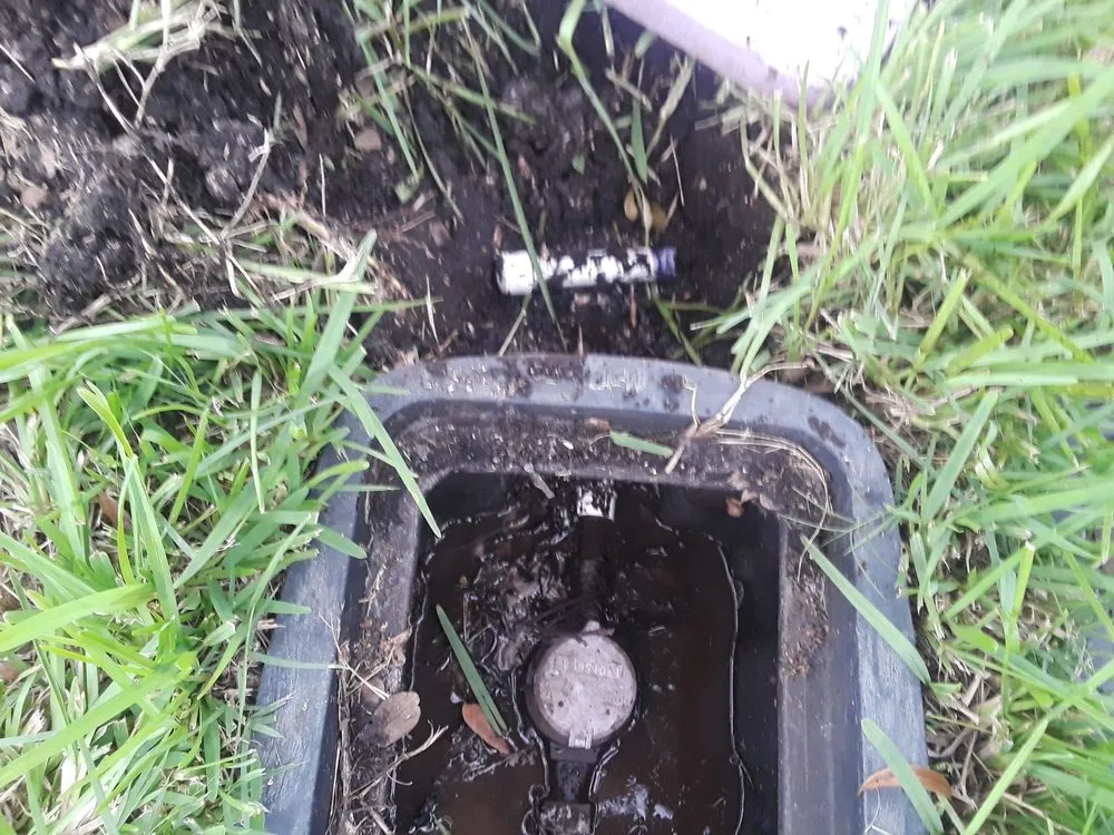 Expert residential landscaping in Tampa, FL - Enviromo Irrigation and Sprinkler Repair