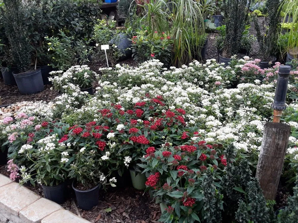 Reliable landscape installation for homes in Tampa, FL by Enviromo Irrigation and Sprinkler Repair