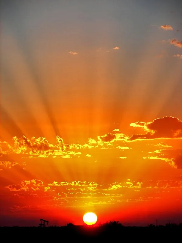 Custom yard cleanup service in Tampa, FL - Enviromo Irrigation and Sprinkler Repair