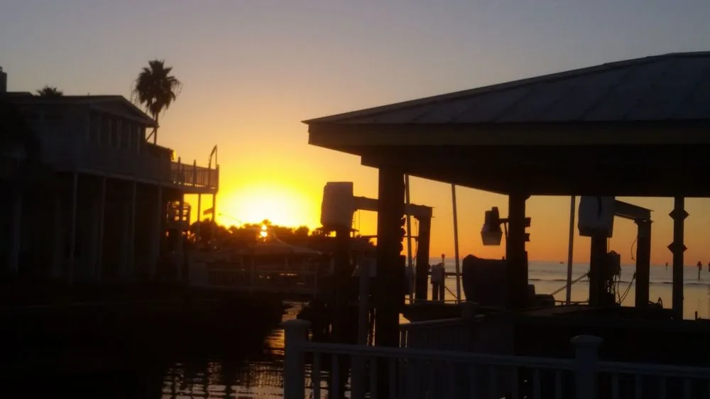 Affordable lawn care service in Tampa, FL - Enviromo Irrigation and Sprinkler Repair