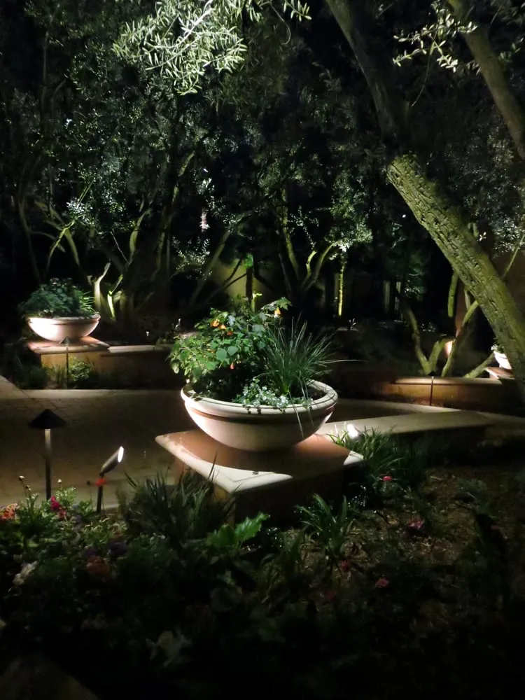 Trusted residential landscaping for outdoor upgrades across Placentia, CA - Environment Unlimited