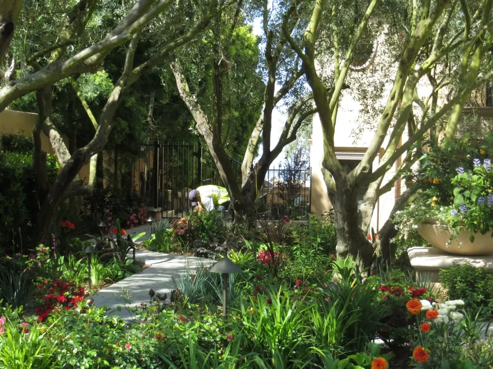 Affordable lawn care service in Placentia, CA by Environment Unlimited