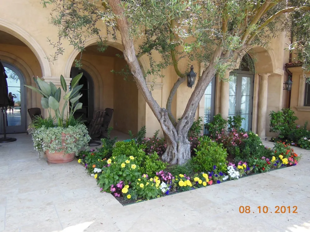 Top-rated lawn mowing service experts serving Placentia, CA - Environment Unlimited