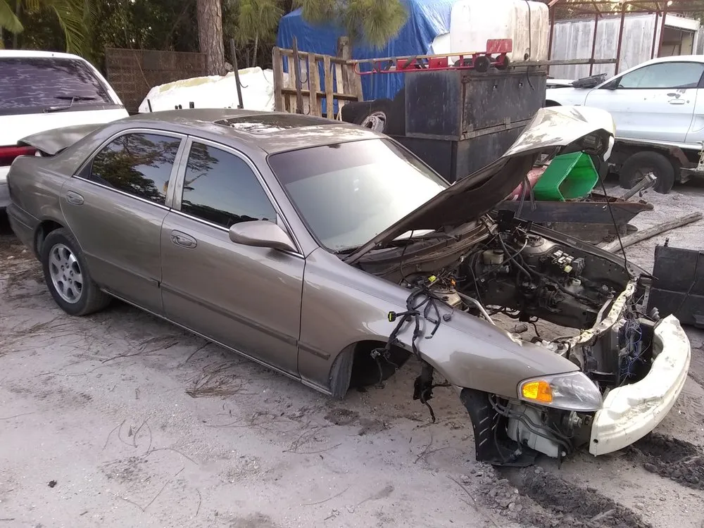 Top-rated lawn mowing service for outdoor upgrades in West Palm Beach, FL by Environmental Care Resources