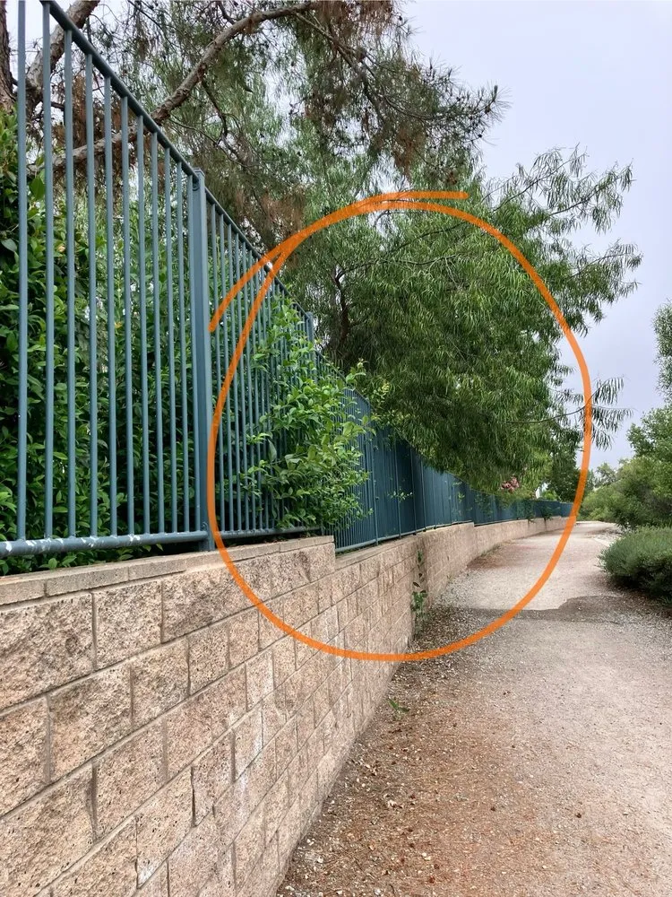 Professional lawn care service in Murrieta, CA by Environmental Concepts Landscape Management