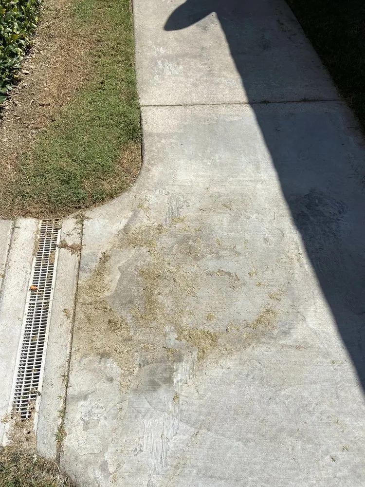 Custom yard maintenance in Murrieta, CA by Environmental Concepts Landscape Management