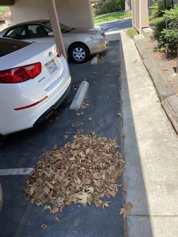 Expert garden landscaping for beautiful yards across Murrieta, CA - Environmental Concepts Landscape Management