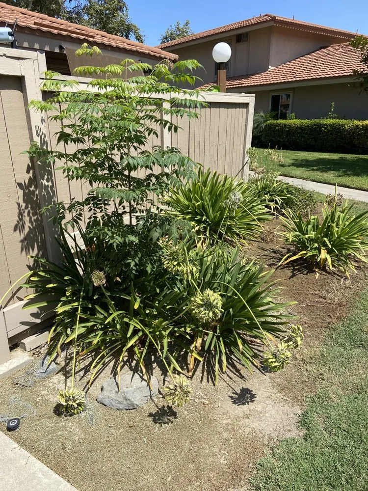 Local landscaping services in Murrieta, CA by Environmental Concepts Landscape Management