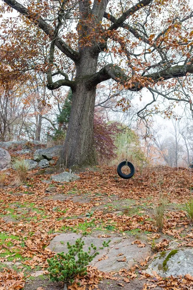 Affordable yard cleanup service in York, PA by Environmental Concepts Landscaping