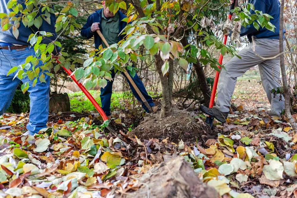 Top-rated outdoor landscaping in York, PA by Environmental Concepts Landscaping
