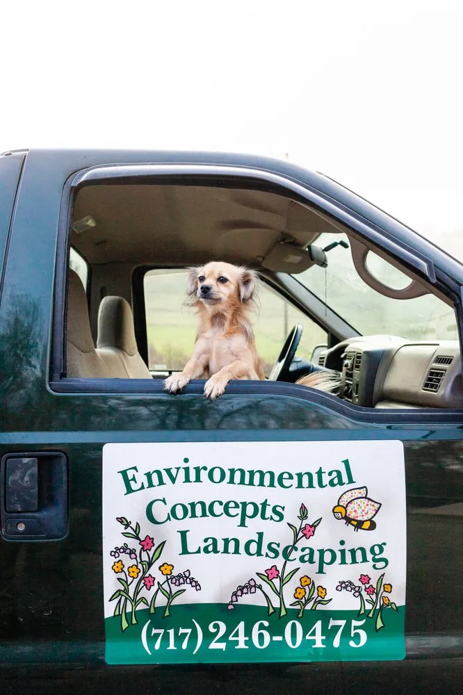 Professional outdoor landscaping in York, PA - Environmental Concepts Landscaping