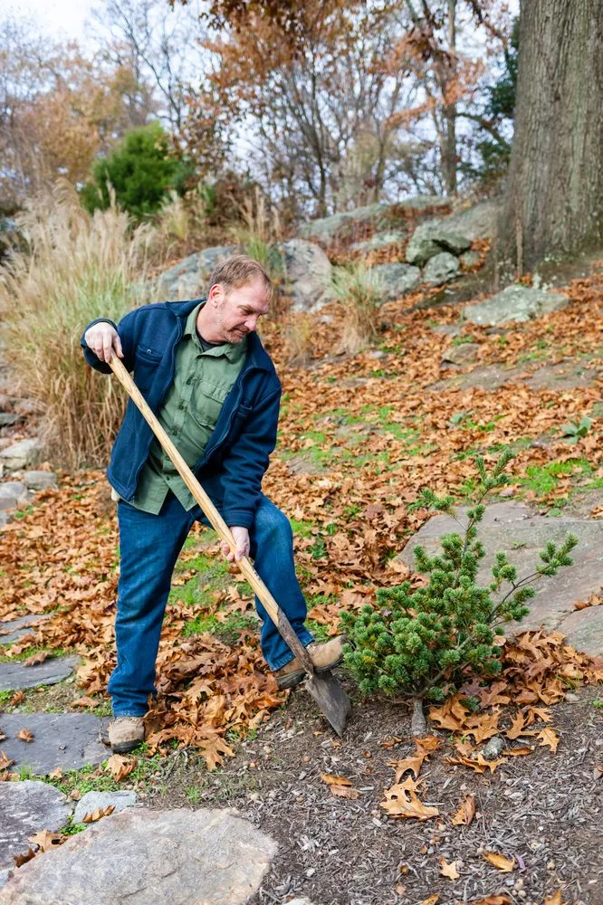 Local yard cleanup service with custom design in York, PA by Environmental Concepts Landscaping