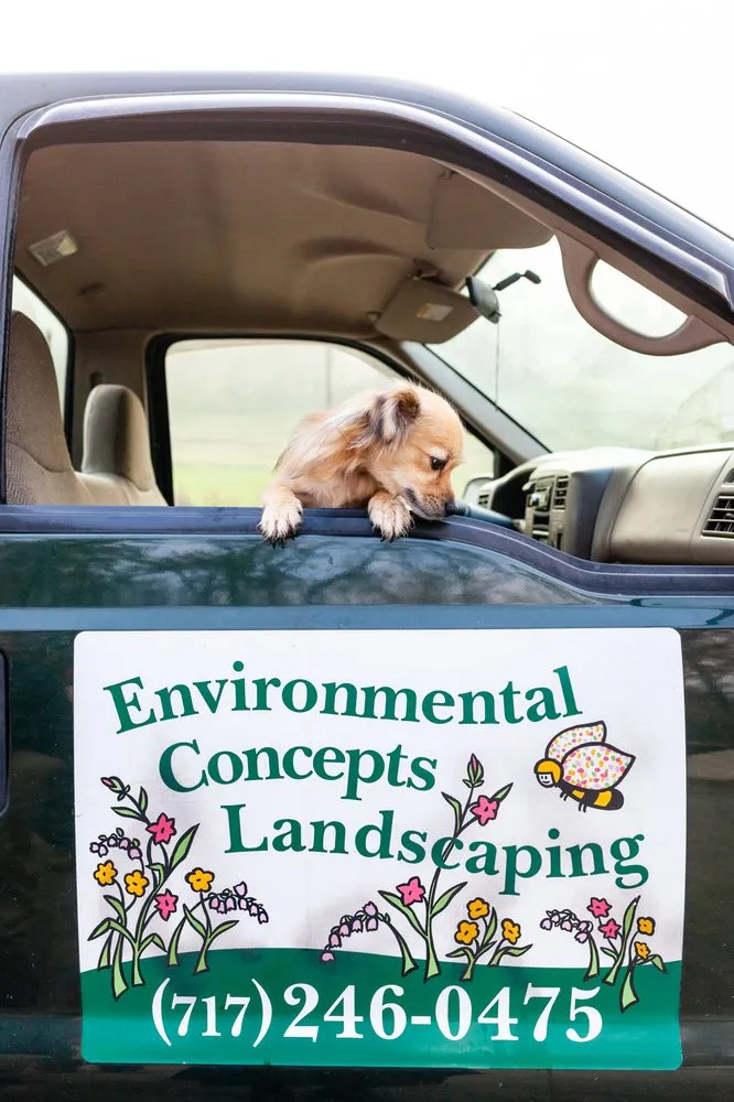 Trusted residential landscaping for year-round maintenance in York, PA by Environmental Concepts Landscaping