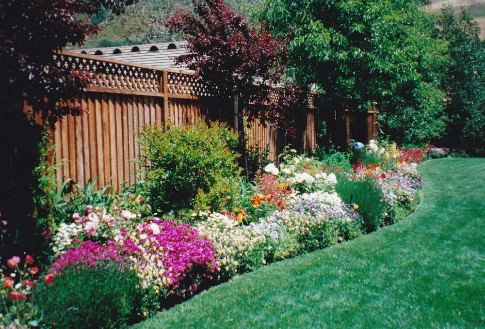 Custom yard maintenance experts serving Walnut Creek, CA - Environmental Concepts