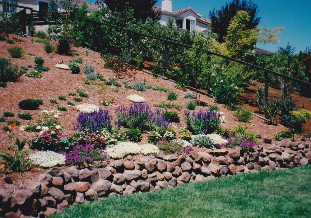 Professional outdoor landscaping in Walnut Creek, CA - Environmental Concepts