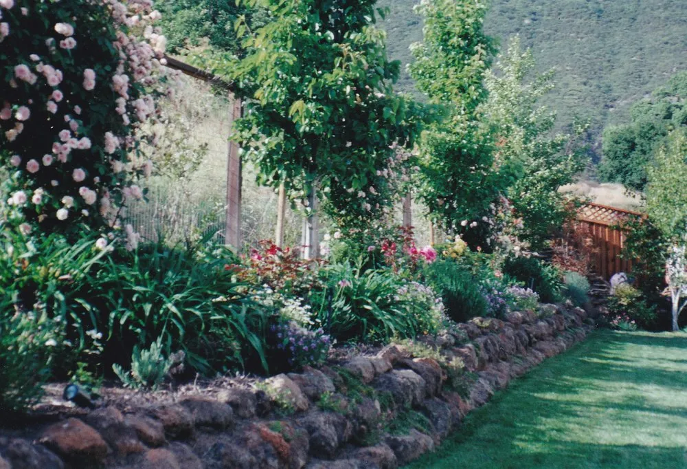Affordable landscape design experts serving Walnut Creek, CA - Environmental Concepts