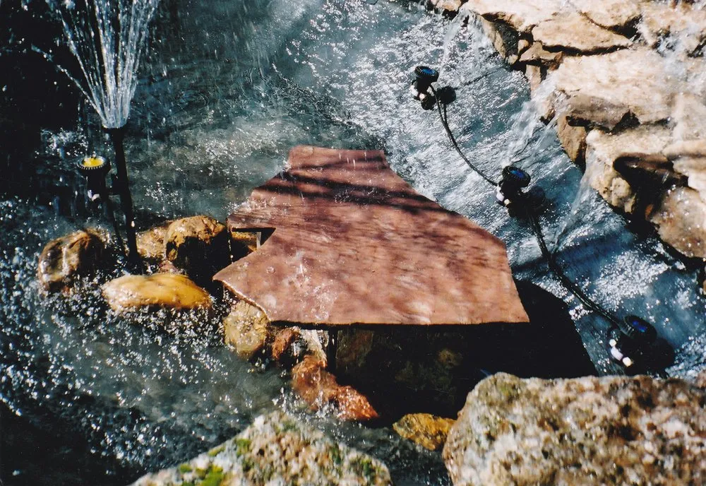 Local landscape installation experts serving Walnut Creek, CA - Environmental Concepts