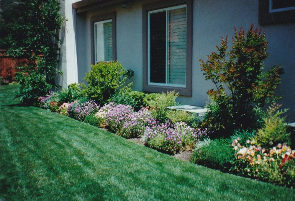 Custom yard maintenance for beautiful yards in Walnut Creek, CA by Environmental Concepts