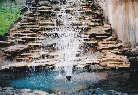 Environmental Concepts Logo